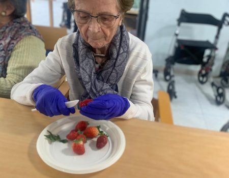 Preparamos fresas Marzo 2025